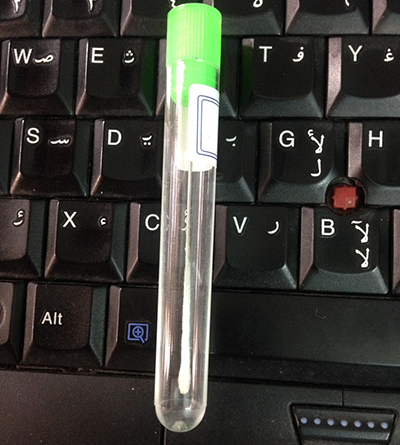 tăm bông nam lấy bệnh phẩm nam